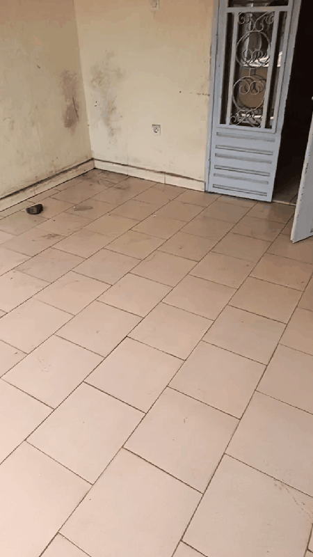 Agence Immobilière location vente construction bail appartement duplex chambres etage immeuble terrain champ